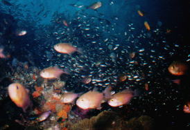 �C�̋�����