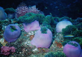 �C�̋�����