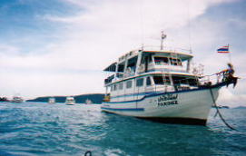 �̌��_�C�r���O