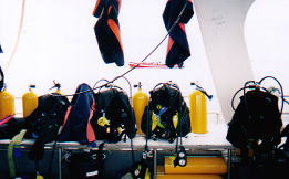 �̌��_�C�r���O