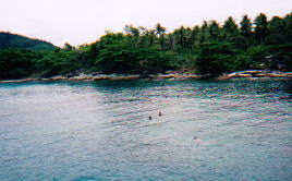 �̌��_�C�r���O