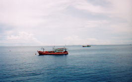 �̌��_�C�r���O