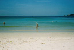 ���������񁕂��߂���