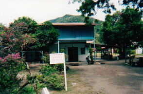 ���������񁕂��߂���