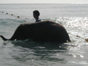 �v���C�x�[�g�E�r�[�`