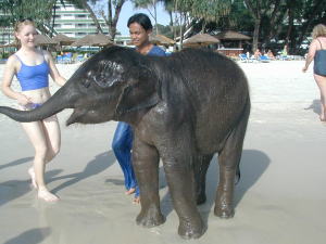 �v���C�x�[�g�E�r�[�`