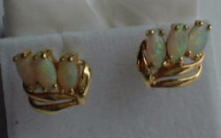 �I�p�[���̃s�A�X