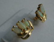 �I�p�[���̃s�A�X