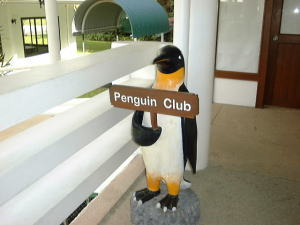 �L�b�Y�E�N���u