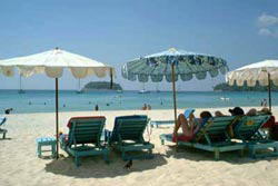 �J�^�r�[�`�E���]�[�g