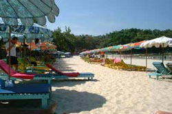 �J�^�r�[�`�E���]�[�g