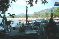 �J�^�r�[�`�E���]�[�g