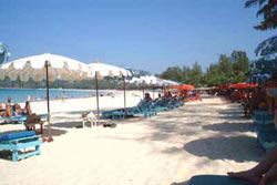 �J�^�r�[�`�E���]�[�g