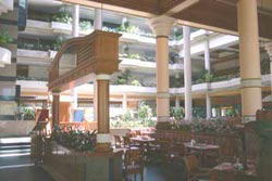 �J�^�r�[�`�E���]�[�g