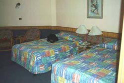 �J�^�r�[�`�E���]�[�g