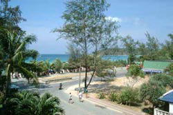 �J�^�r�[�`�E���]�[�g