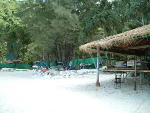 �}�b�T�[�W�t