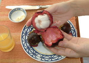 マンゴスティン