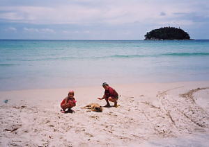 �J�^�r�[�`