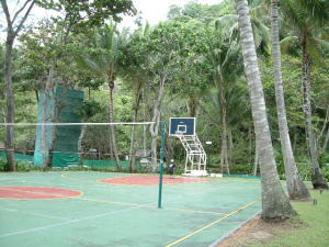 �X�|�[�c�{��