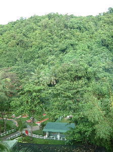 �����̒�