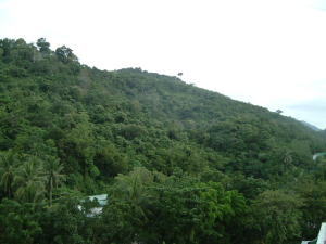 �����̒�