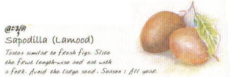 トロピカルフルーツ