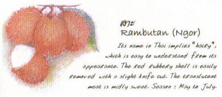 トロピカルフルーツ