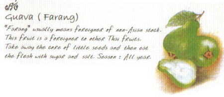 トロピカルフルーツ