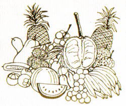 トロピカルフルーツ