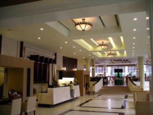 ディバナ・パトン