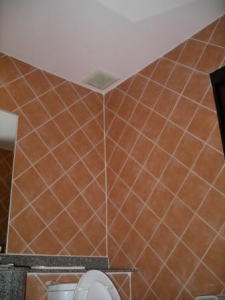 ディバナ・パトン