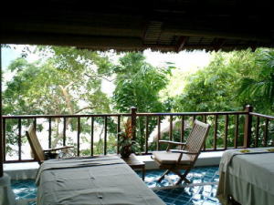 �V���@���E�X�p