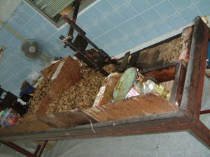 カシューナッツ