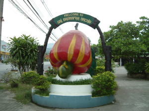 カシューナッツ