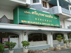 カシューナッツ