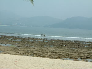 �z�e���̃r�[�`