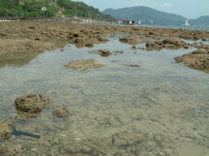 �z�e���̃r�[�`