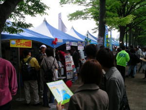 タイ・フェスティバル