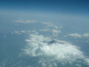 �A�j�o�[�T���[