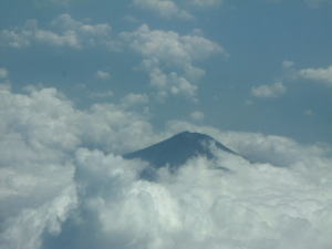 �A�j�o�[�T���[