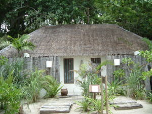 �G���@�\��