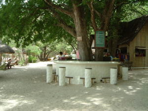 �G���@�\��