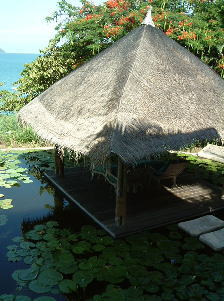 �V�b�N�X�E�Z���X�E�X�p