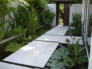 �G���@�\��