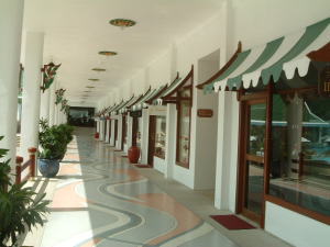 �A�[�P�[�h�X