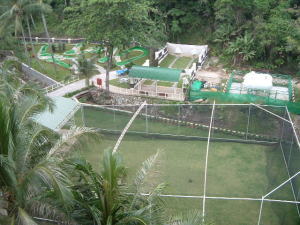 �X�|�[�c�{��