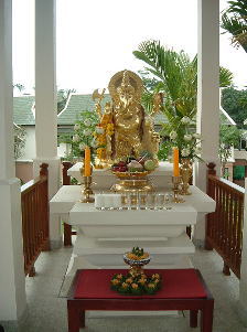 �X�R�[�E�J���`�������E�X�p