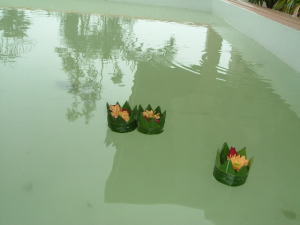 �X�R�[�E�J���`�������E�X�p