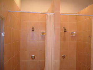 �X�R�[�E�J���`�������E�X�p